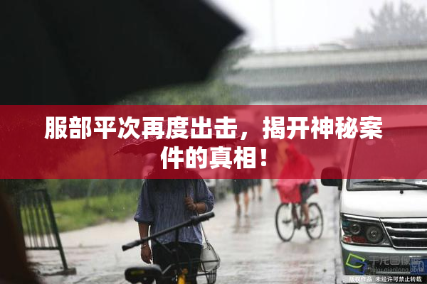 服部平次再度出击，揭开神秘案件的真相！