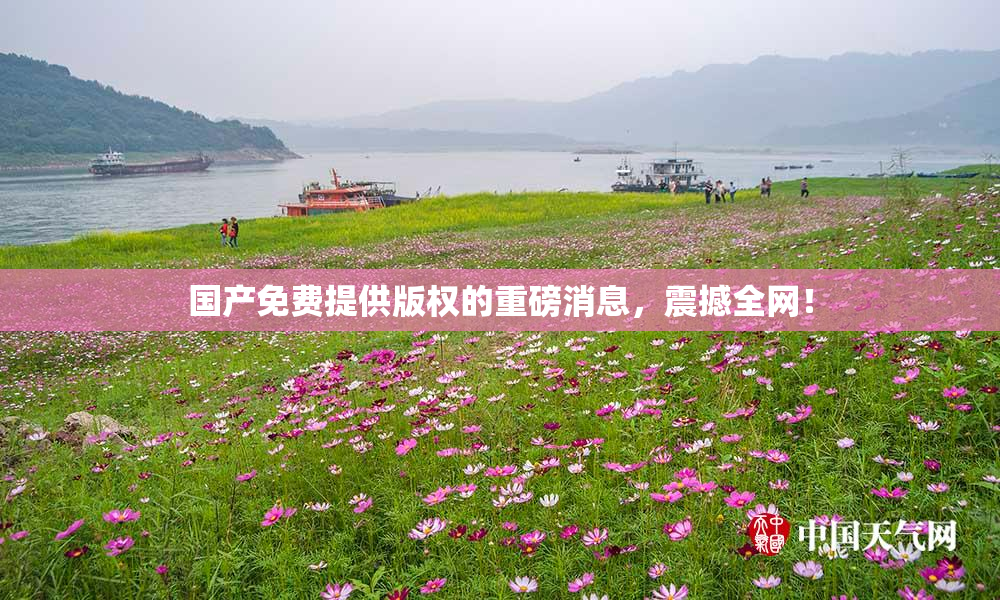 国产免费提供版权的重磅消息，震撼全网！