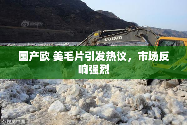 国产欧 美毛片引发热议，市场反响强烈
