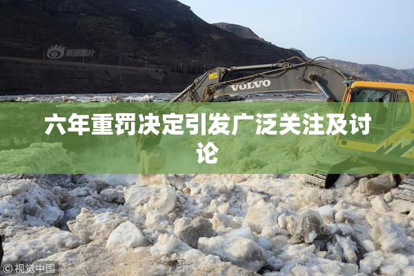 六年重罚决定引发广泛关注及讨论