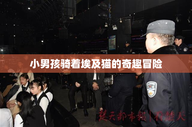 小男孩骑着埃及猫的奇趣冒险