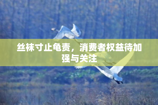 丝袜寸止龟责，消费者权益待加强与关注