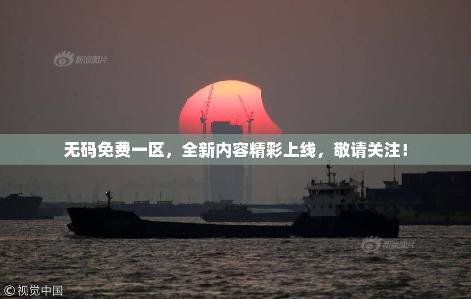 无码免费一区，全新内容精彩上线，敬请关注！