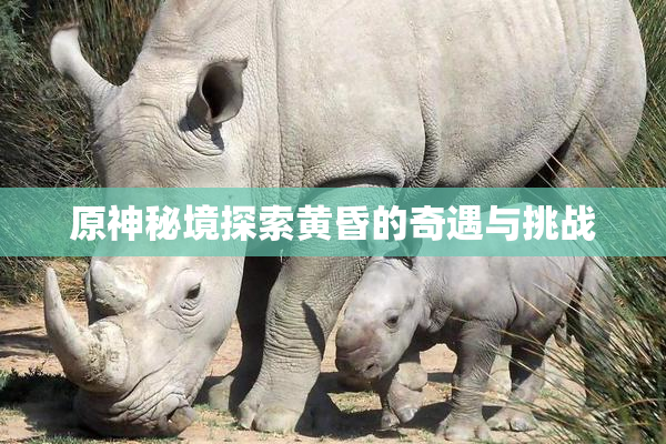 原神秘境探索黄昏的奇遇与挑战