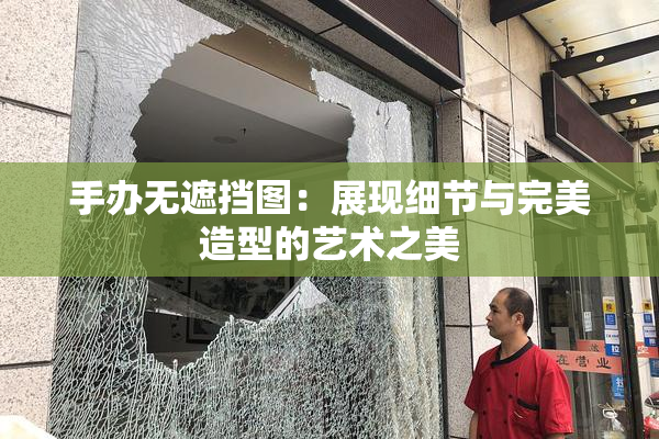 手办无遮挡图：展现细节与完美造型的艺术之美