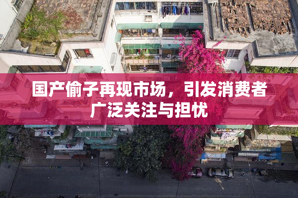 国产偷子再现市场，引发消费者广泛关注与担忧
