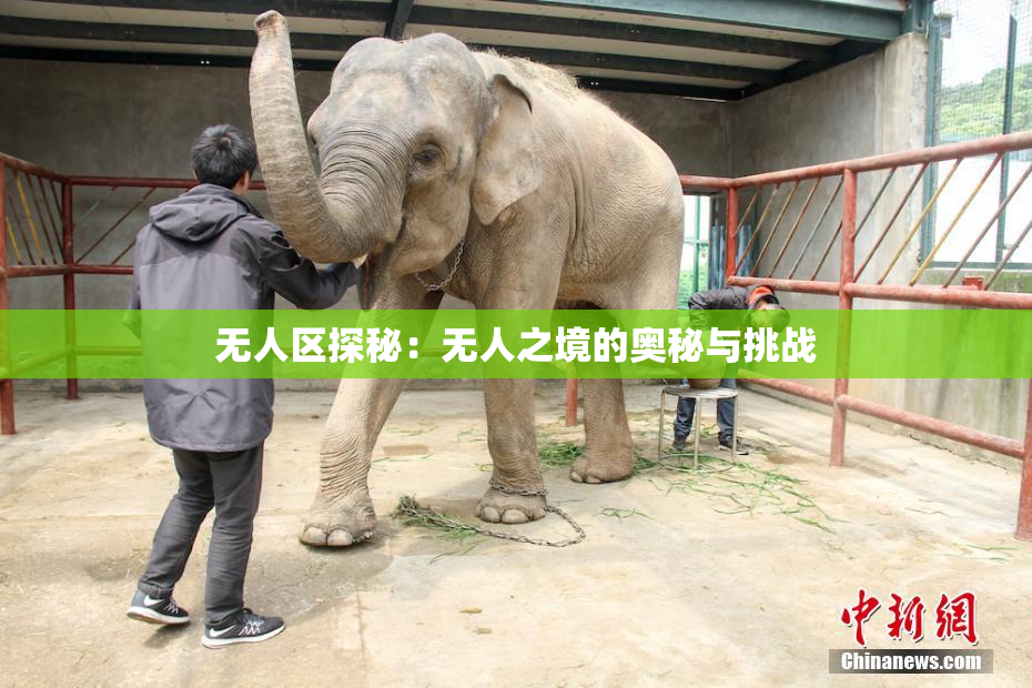 无人区探秘：无人之境的奥秘与挑战
