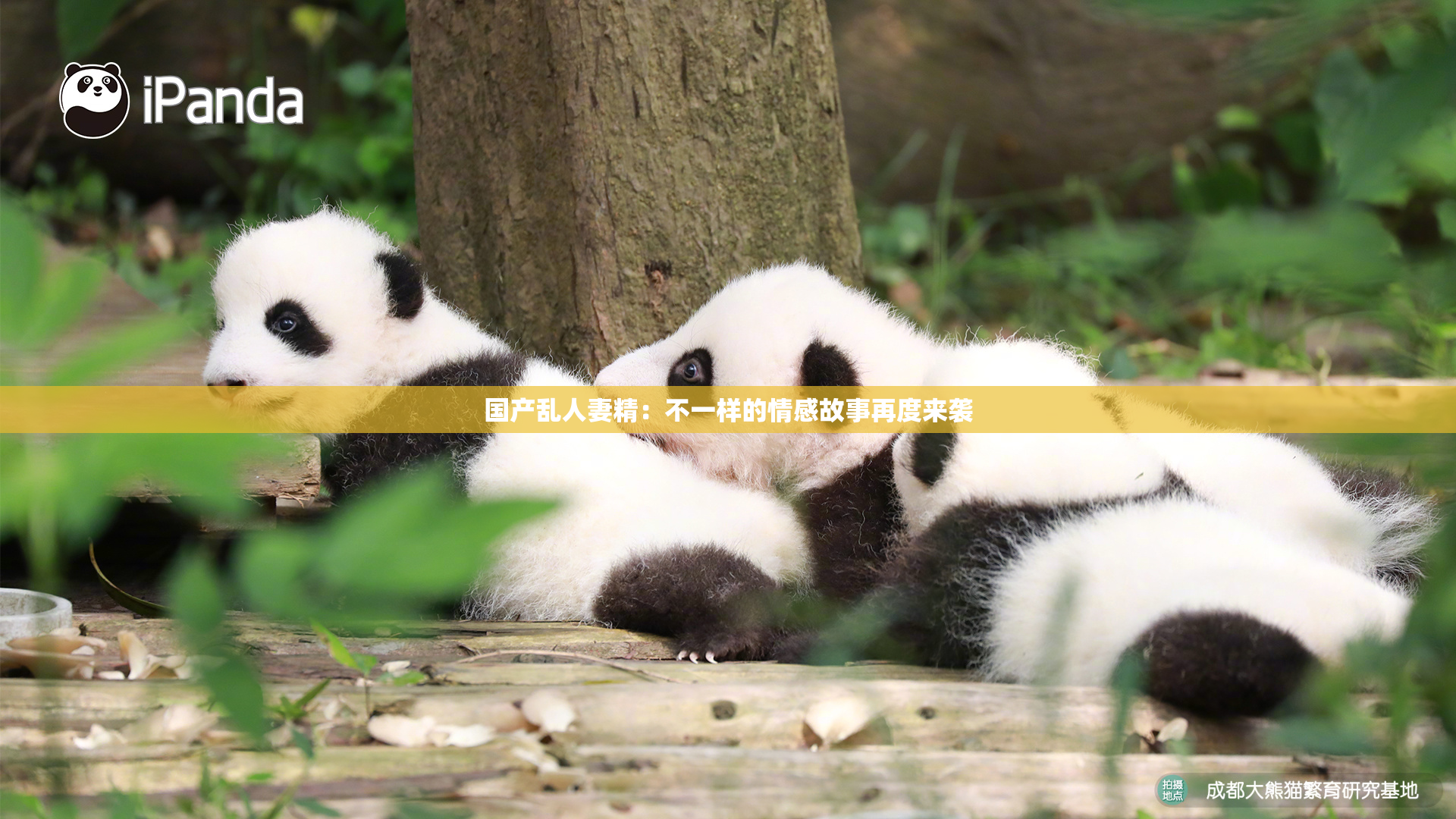 国产乱人妻精：不一样的情感故事再度来袭