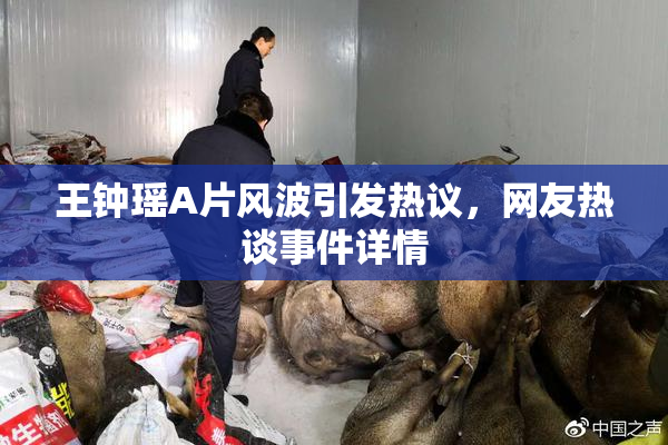 王钟瑶A片风波引发热议，网友热谈事件详情