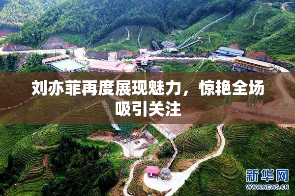 刘亦菲再度展现魅力，惊艳全场吸引关注