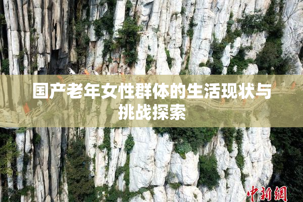 国产老年女性群体的生活现状与挑战探索