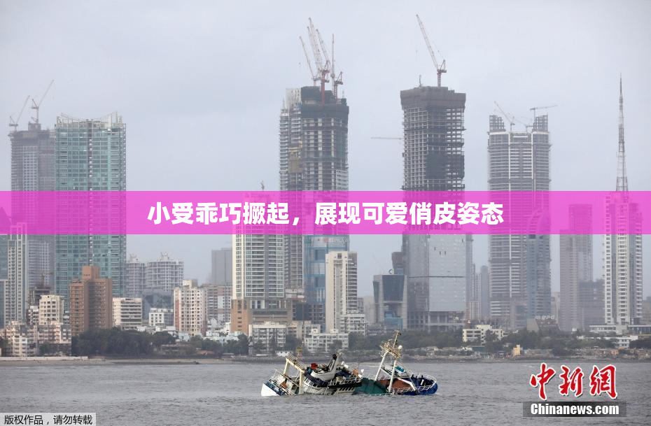 小受乖巧撅起，展现可爱俏皮姿态
