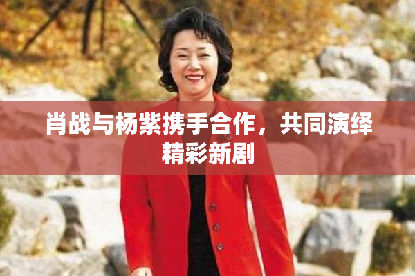 肖战与杨紫携手合作，共同演绎精彩新剧