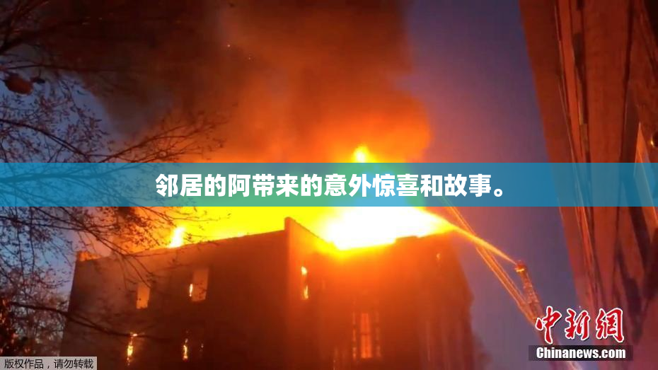 邻居的阿带来的意外惊喜和故事。
