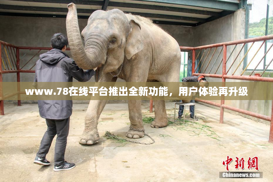 www.78在线平台推出全新功能，用户体验再升级