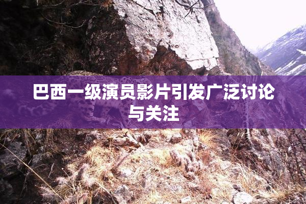 巴西一级演员影片引发广泛讨论与关注