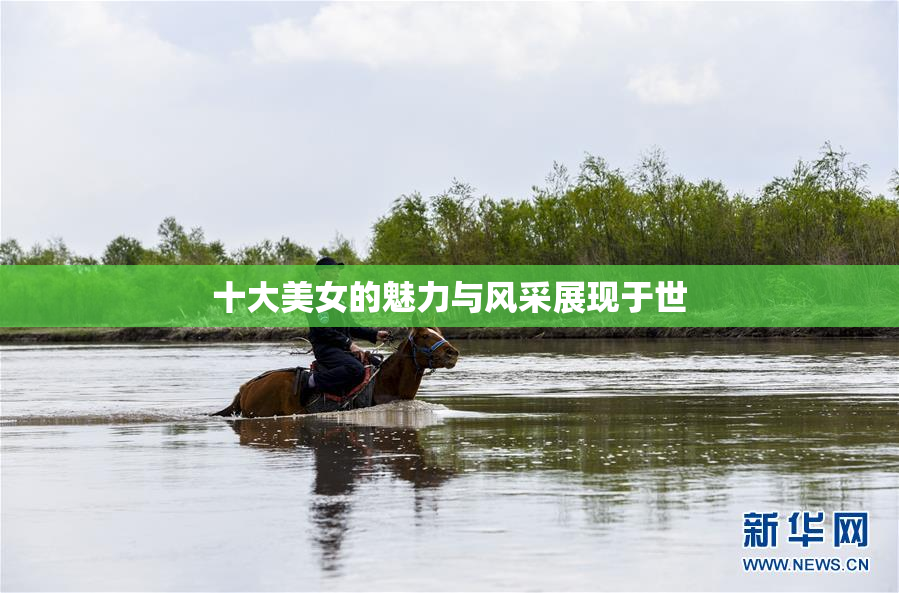 十大美女的魅力与风采展现于世