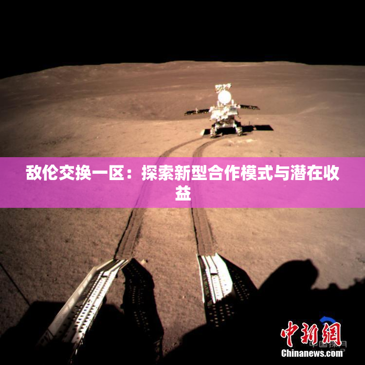 敌伦交换一区：探索新型合作模式与潜在收益