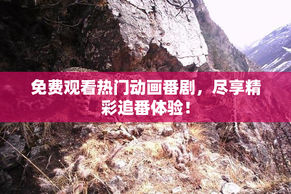 免费观看热门动画番剧，尽享精彩追番体验！
