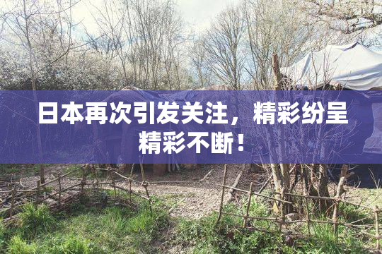 日本再次引发关注，精彩纷呈精彩不断！