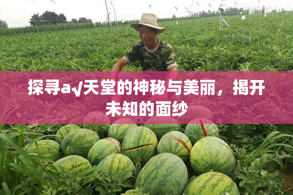 探寻а√天堂的神秘与美丽，揭开未知的面纱