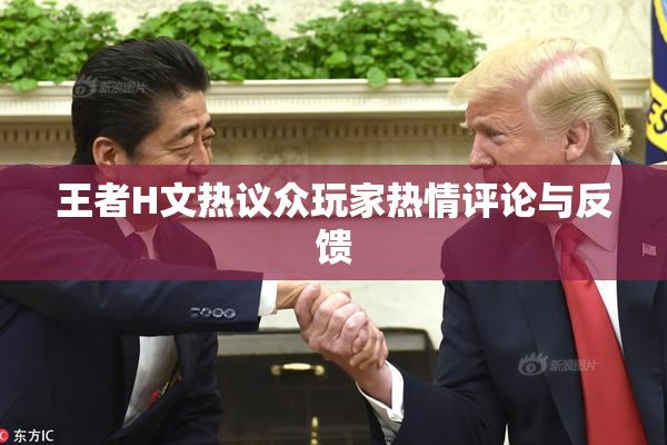 王者H文热议众玩家热情评论与反馈