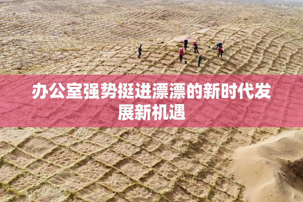 办公室强势挺进漂漂的新时代发展新机遇