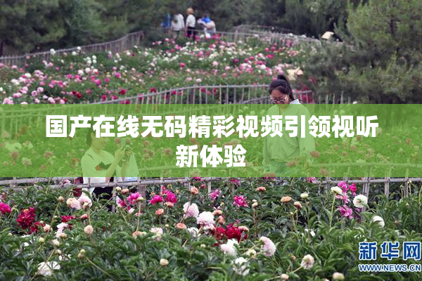 国产在线无码精彩视频引领视听新体验