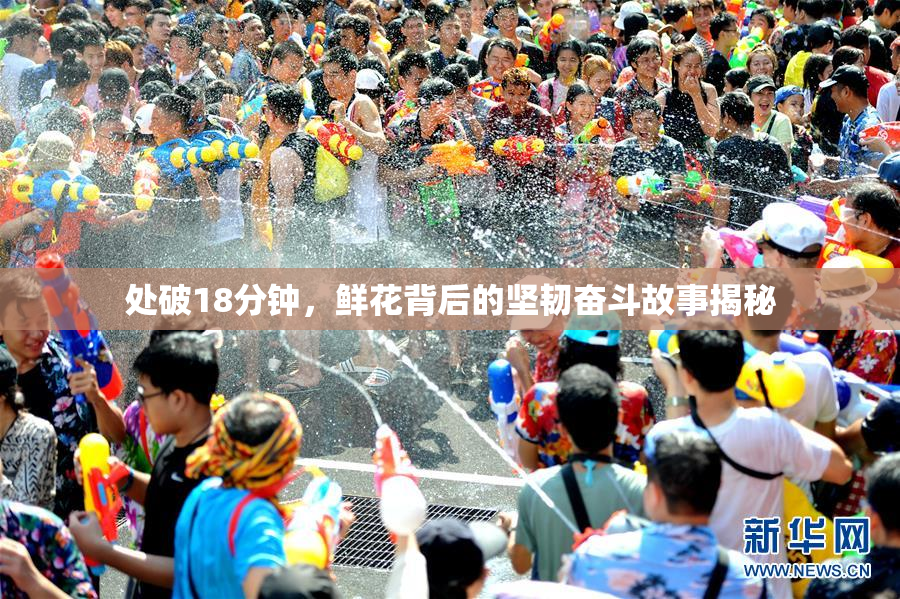 处破18分钟，鲜花背后的坚韧奋斗故事揭秘