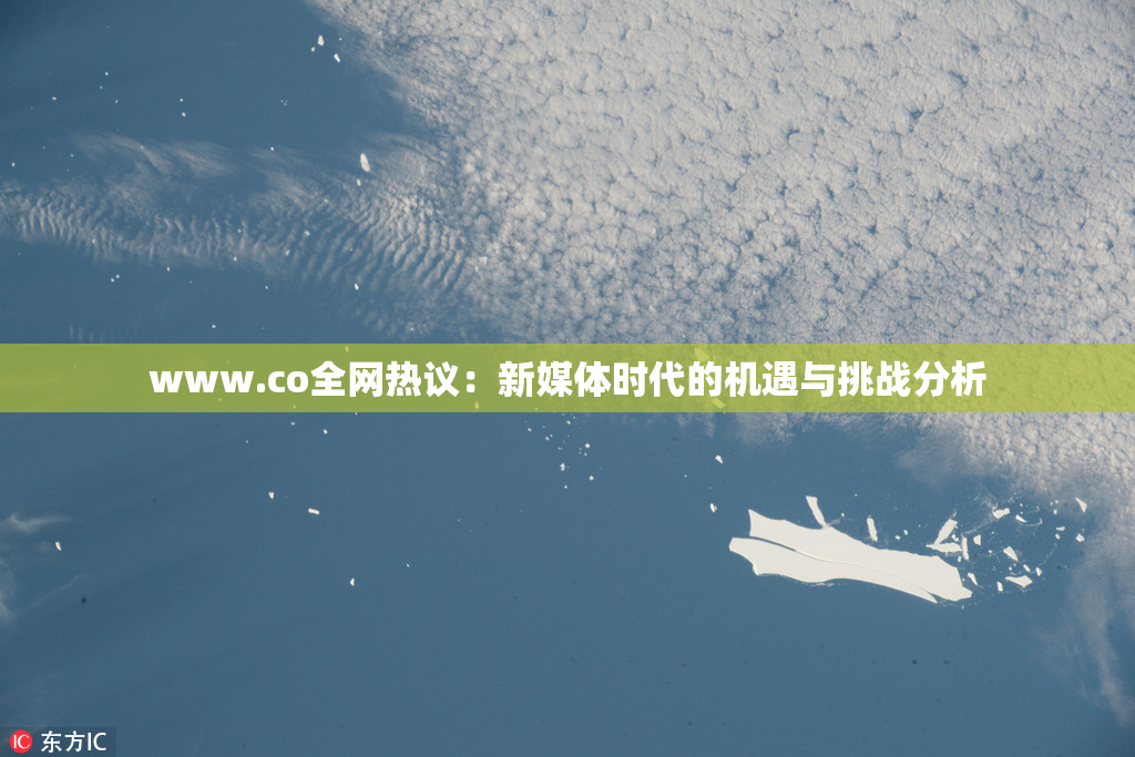 www.co全网热议：新媒体时代的机遇与挑战分析