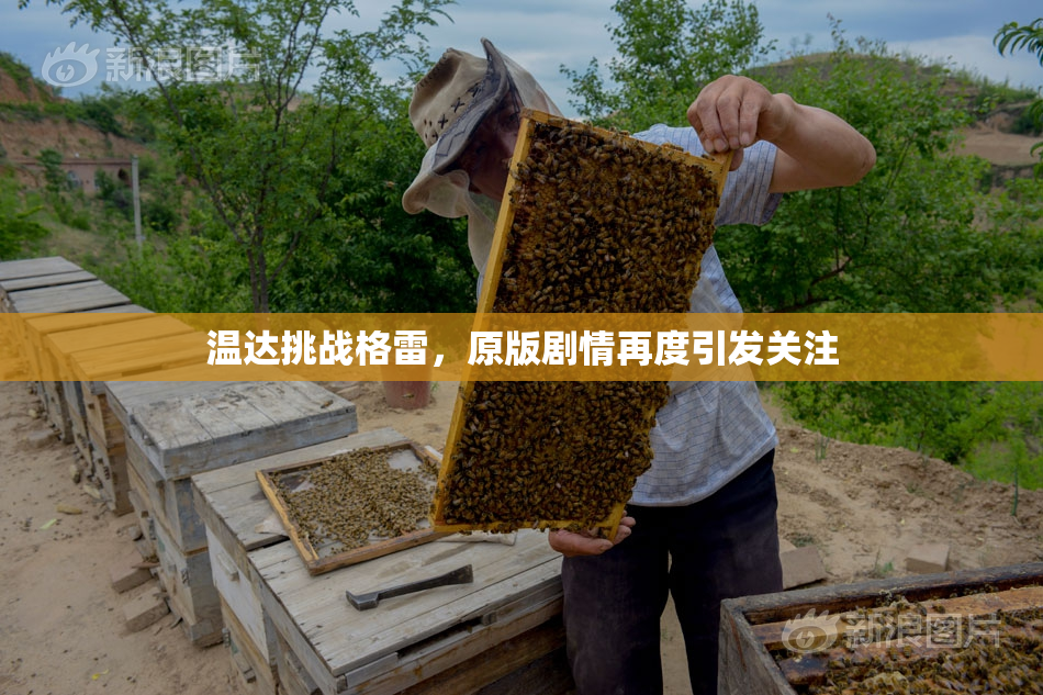 温达挑战格雷，原版剧情再度引发关注