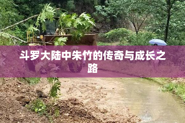斗罗大陆中朱竹的传奇与成长之路