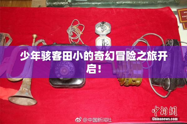 少年骇客田小的奇幻冒险之旅开启！