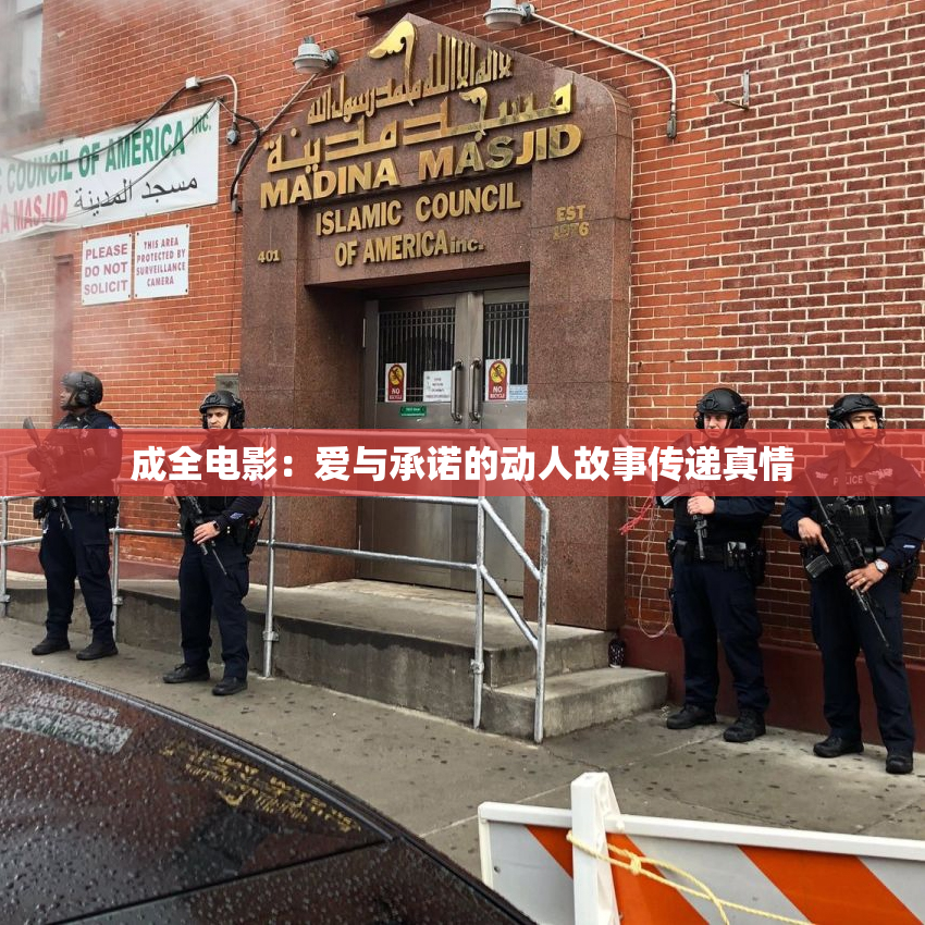 成全电影：爱与承诺的动人故事传递真情