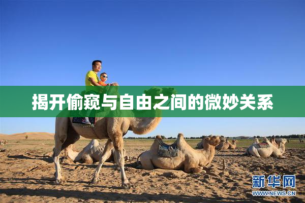 揭开偷窥与自由之间的微妙关系