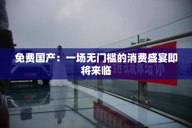 免费国产：一场无门槛的消费盛宴即将来临
