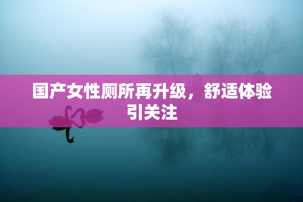 国产女性厕所再升级，舒适体验引关注