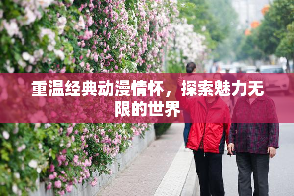 重温经典动漫情怀，探索魅力无限的世界