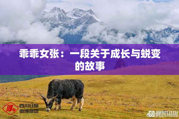 乖乖女张：一段关于成长与蜕变的故事