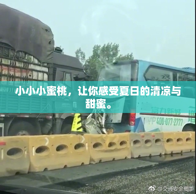 小小小蜜桃，让你感受夏日的清凉与甜蜜。
