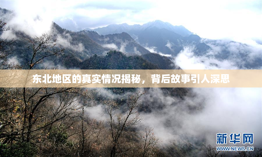 东北地区的真实情况揭秘，背后故事引人深思