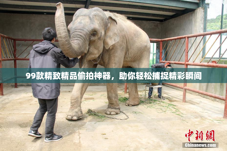 99款精致精品偷拍神器，助你轻松捕捉精彩瞬间