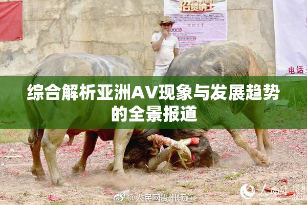 综合解析亚洲AV现象与发展趋势的全景报道