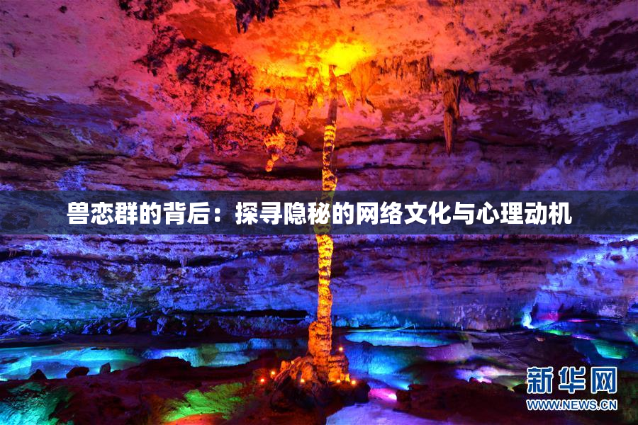 兽恋群的背后：探寻隐秘的网络文化与心理动机