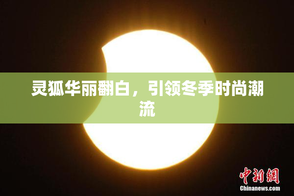 灵狐华丽翻白，引领冬季时尚潮流