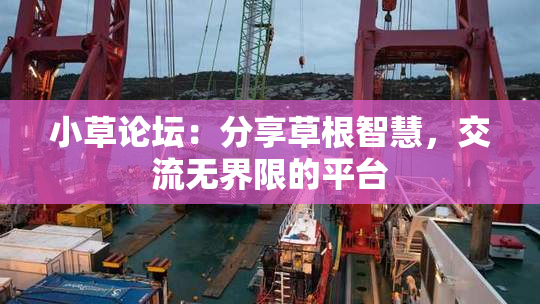 小草论坛：分享草根智慧，交流无界限的平台