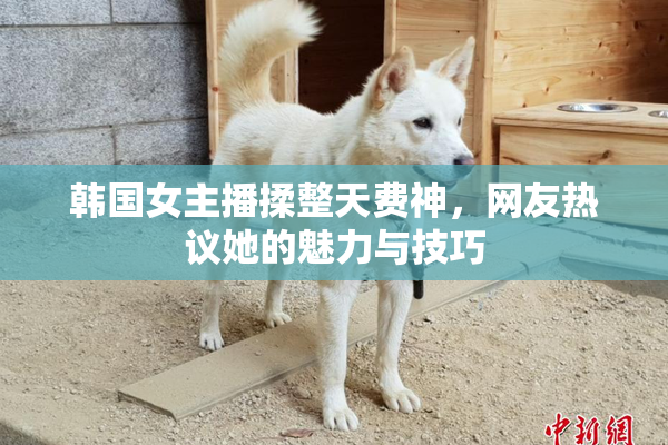 韩国女主播揉整天费神，网友热议她的魅力与技巧