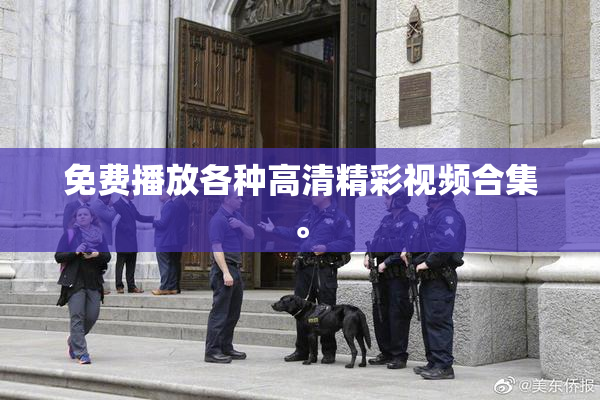 免费播放各种高清精彩视频合集。
