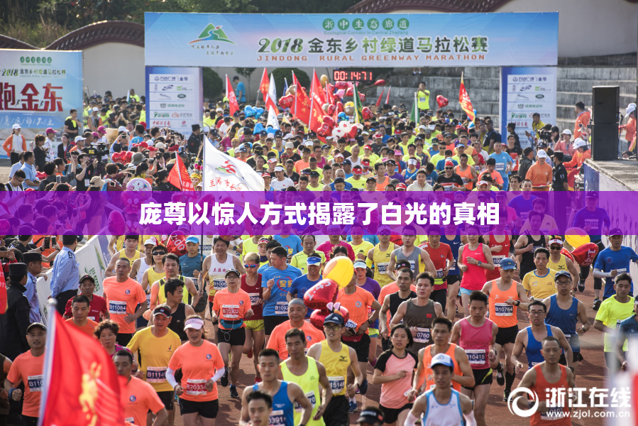庞尊以惊人方式揭露了白光的真相
