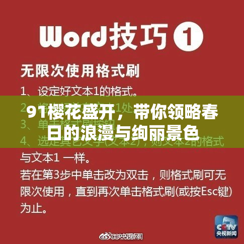 91樱花盛开，带你领略春日的浪漫与绚丽景色